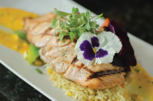 culinary arts photography